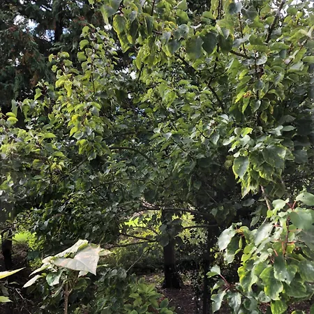 Vredig Toeven Apartment