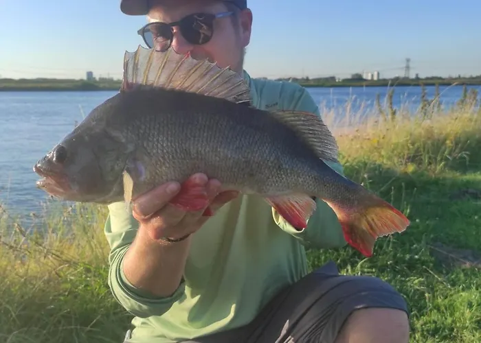 Vredig Toeven Appartement Klaaswaal