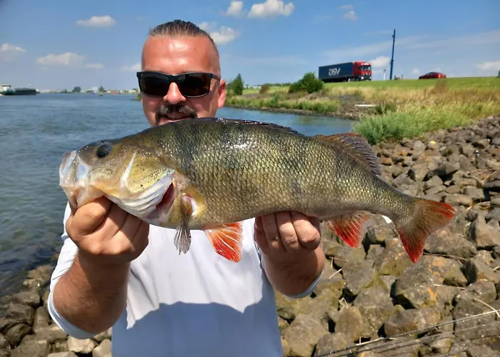 Appartement Vredig Toeven Klaaswaal