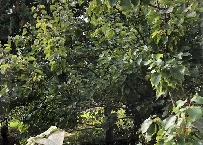 Vredig Toeven Appartement